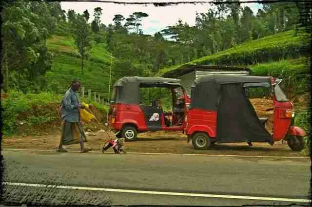 los contrastes de Sri Lanka