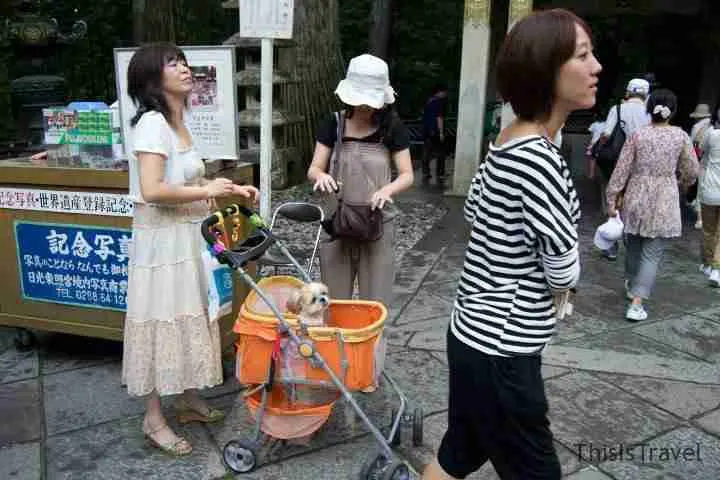 mujer paseando a su perro por los templos de Nikko