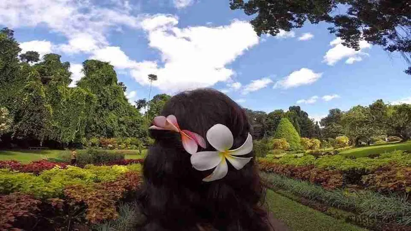 Paraiso de jardines de Kandy