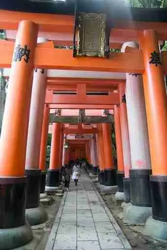 enormes toris de Fushimi Inari