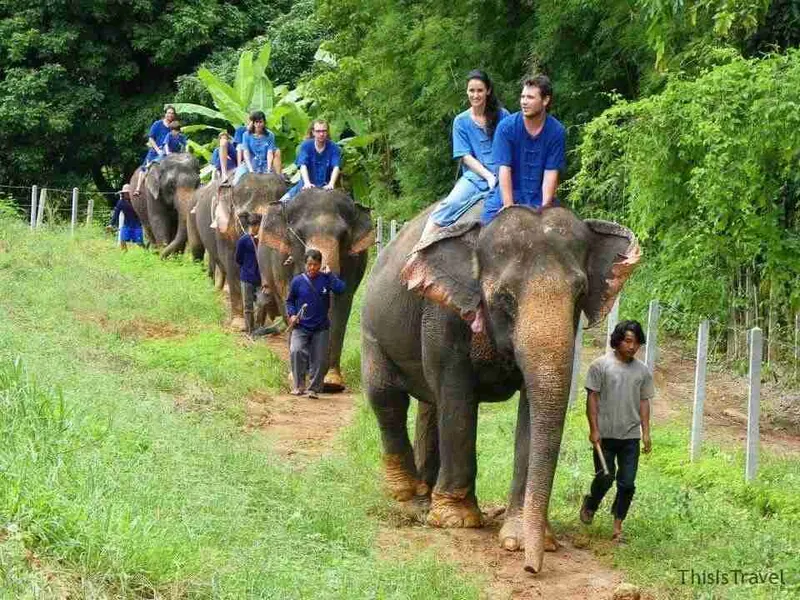 Paseo en elefante por la selva del Baanchang Elephant Park