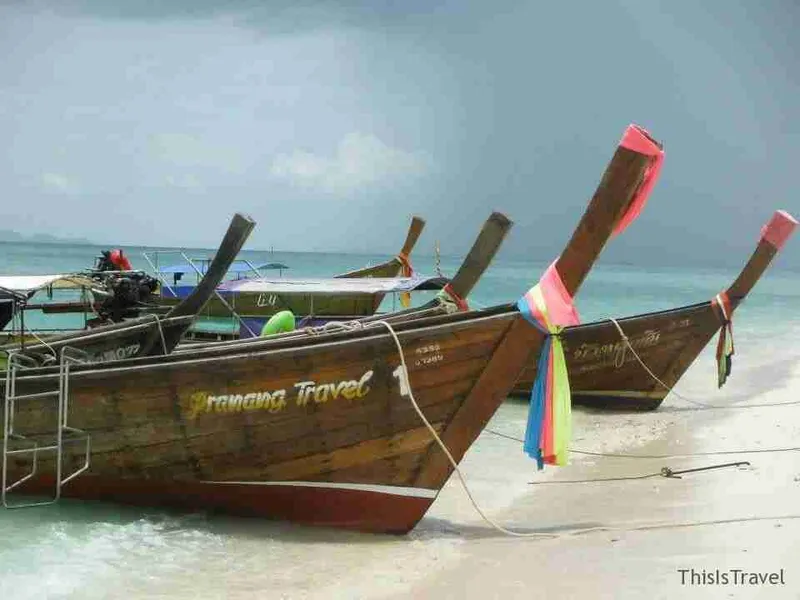 los preciosos long tails