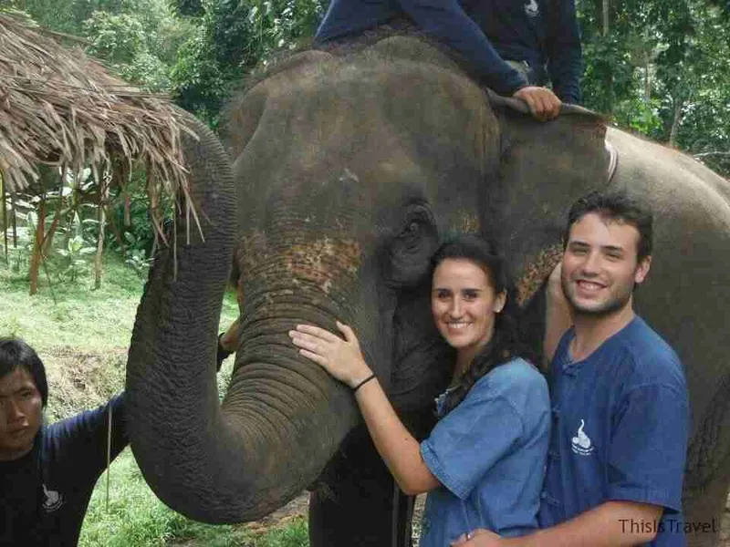 217860_10151012608156615_187071611_n1)
Tras un vuelta por la selva, descansado un rato y cambio de posiciones en el elefante para experimentarlo todo, llegamos de nuevo al campamento y de ahí, camino al agua.
Menuda gozada bañar a los elefantes, ellos se lo pasan en grande, tirando agua, esperando a que los laves y los cepilles, los mahouts juguetean tirando agua con cubos, y acabamos todos chopados, de arriba abajo pero con una gran sonrisa y súper felices de haber realizado esta experiencia tan chula. De ahí a las duchas, una merienda y despedida de los amigos catalanes y nuestro guía Woody que nos ha cuidado un montón.
Tras un rato en la furgoneta, llegamos al hotel y nos fuimos a dar una vuelta por la zona centro de Chiang Mai. Cenamos en un local thai, con una barbacoa individual donde asamos carne, verduras… riquísimo y se nos puso a caer un buen aguacero con rayos y truenos… Al estar tan cansados, nos fuimos de camino al hotel y cerca del él pasamos por un centro de masajes y no pudimos resistirnos con tanto cansacio y agujetas.
En unos minutos, nos atendieron, nos pusimos la ropa de masaje y nos dieron un masaje thai espectacular… para soñar con angelitos tailadeses…
Nos vino de perlas, y tras acabar, la masajista de Kike acabó lesionada de tanto apretar… Ay la pobre! En dos minutos nos plantamos en el hotel, recogimos maletas y para la cama acompañados con rayos de tormenta a lo lejos. (y Ángela encantada, ya que le chiflan las tormentas de verano).
![Amamos los elefantes