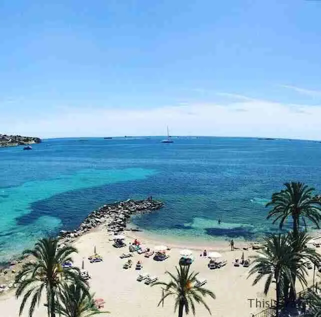 Playa de agua turquesa entre palmeras vista desde lo alto, en Ibiza