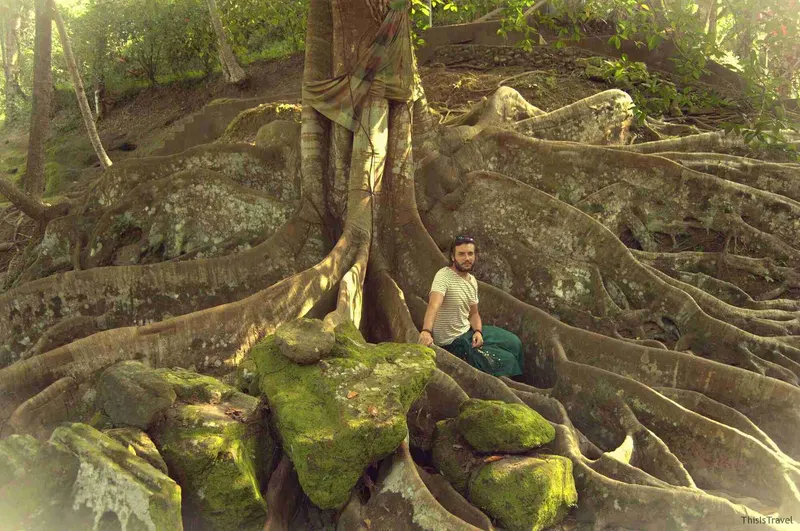 jardines mágicos en Goa Gajah