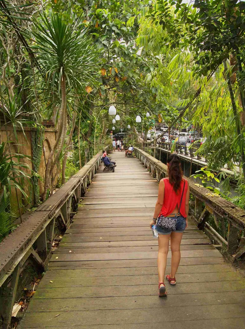 de camino a Ubud por puentes mágicos