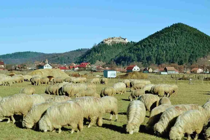 Rasnov, paisajes de Transilvania