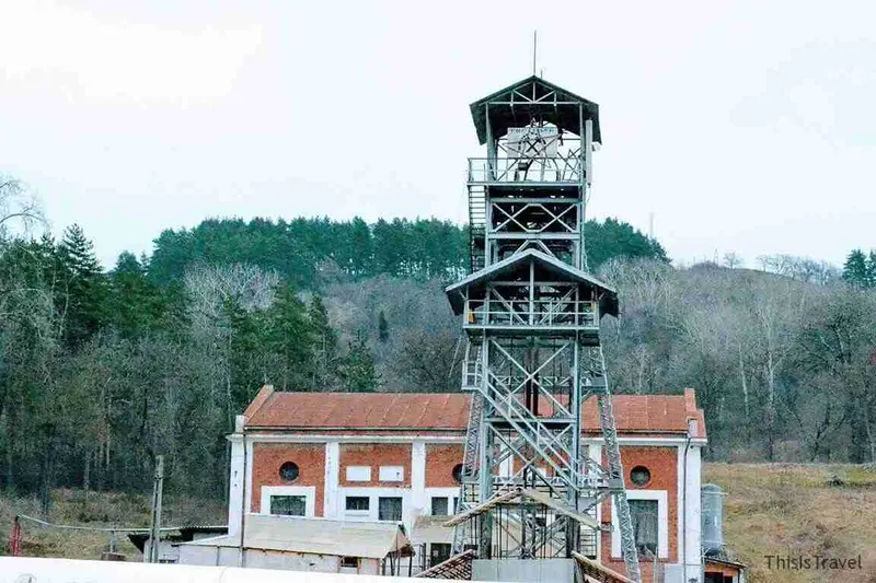 mina sal Slanic
