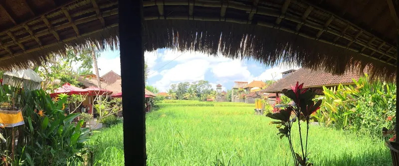 Vistas a los arrozales desde un café de Ubud