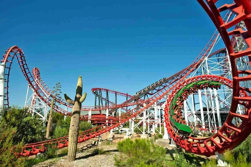 Los rizos rojos de la montaña rusa Viper entre cactus
