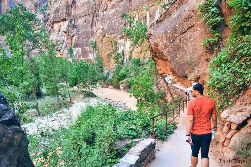 Caminante en el sendero junto al río Virgin, entre las paredes del cañón