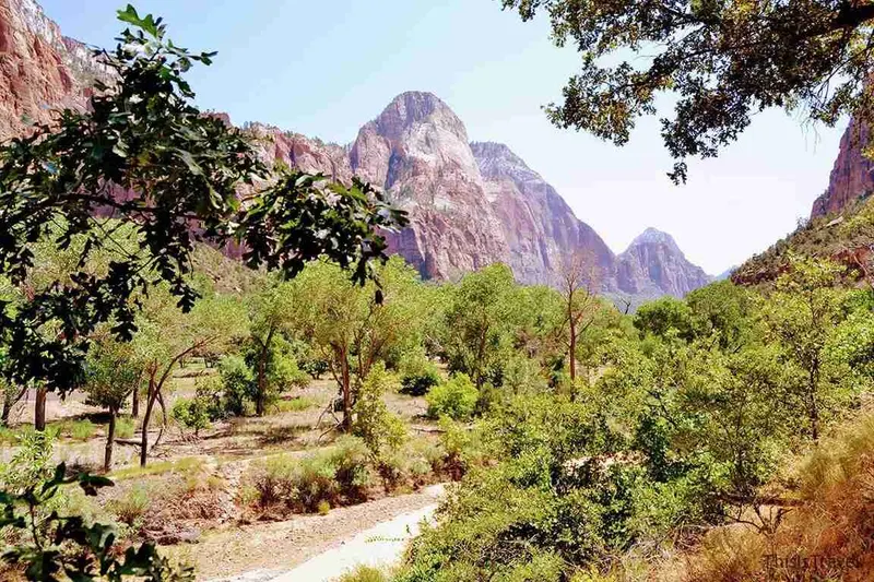 Árboles y río al pie de los picos de Zion