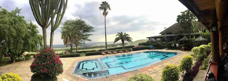 Piscina del lodge entre palmeras, en Nakuru