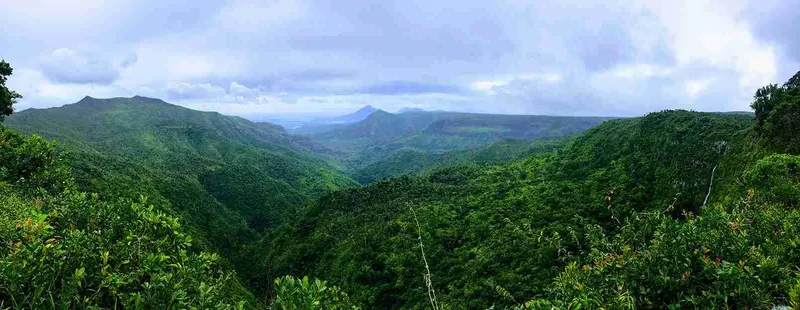 mirador Black River Gorges National Park
