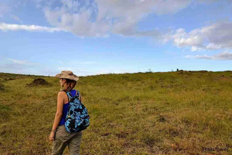 caminando por la sabana