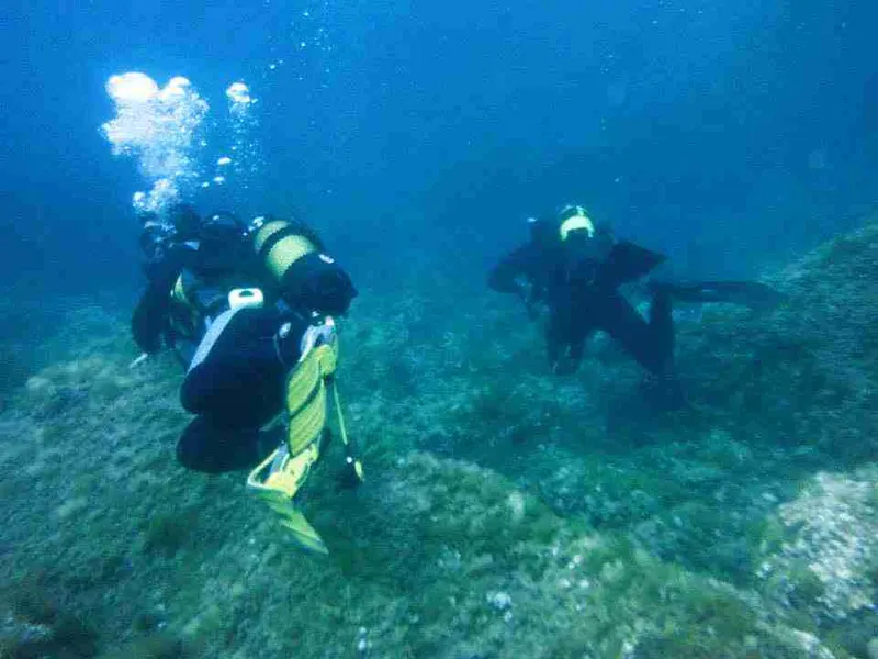 sumergidos en Jávea