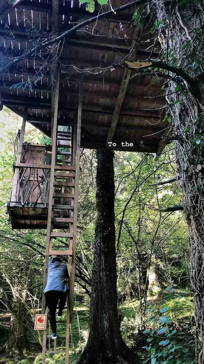 subiendo a la cabaña