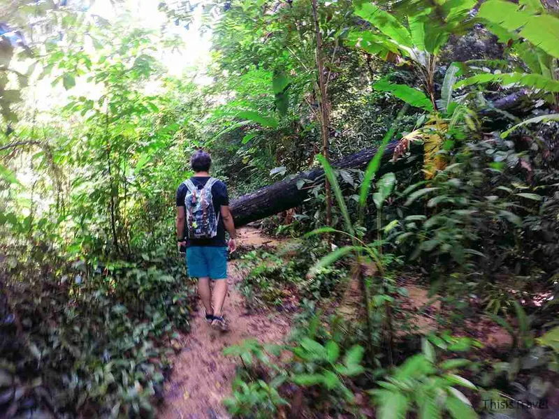 Excursionista con mochila por un sendero entre la selva de las Perhentian