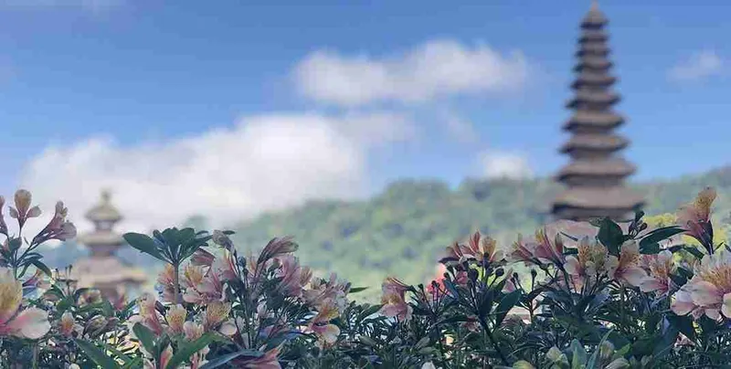 Vegetación balinesa desenfocada en tonos verdes y rosas