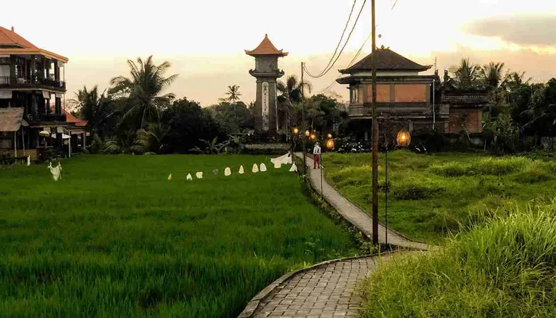 arroz ubud bali