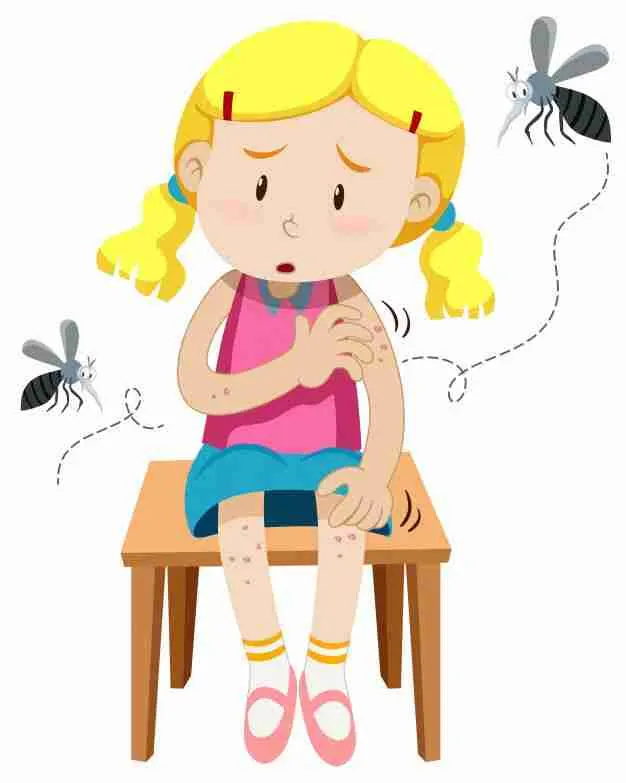 dengue