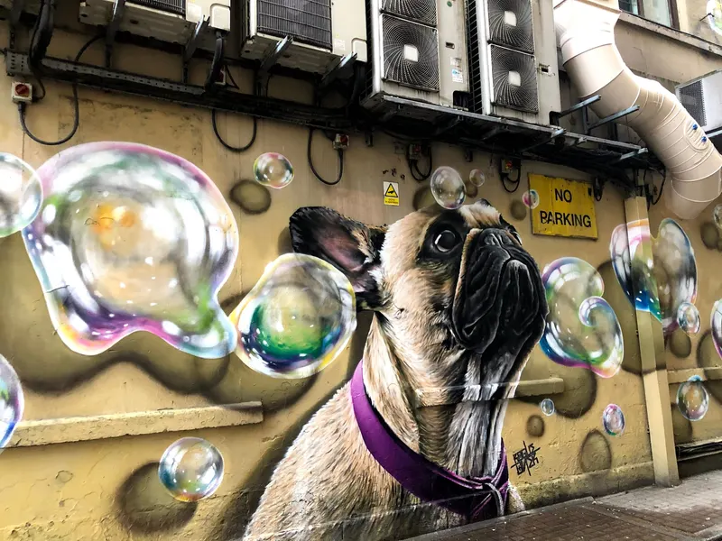 divertido graffiti Glasgow de un pug con bombas de jabon