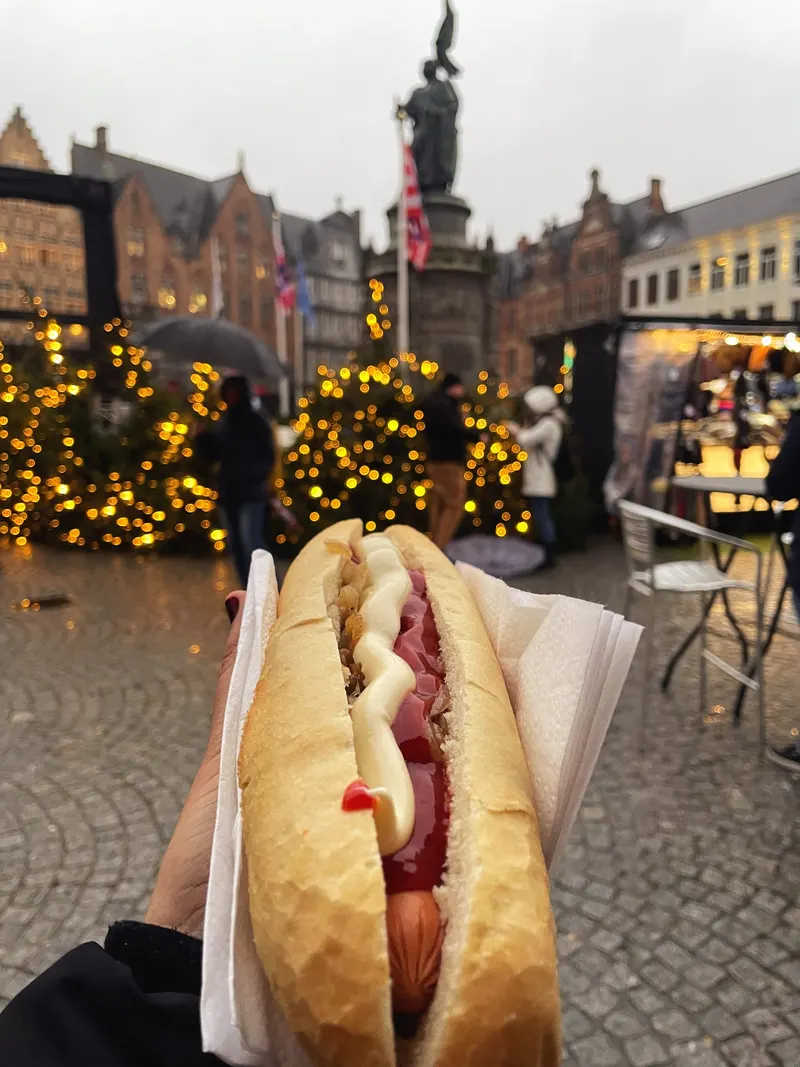 Perrito caliente en la mano ante los abetos iluminados del mercado navideño de Brujas