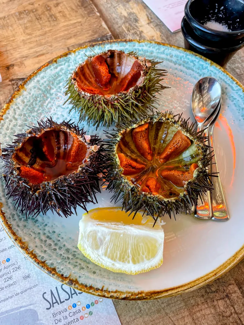 deliciosos erizos de mar, frescos en Denia