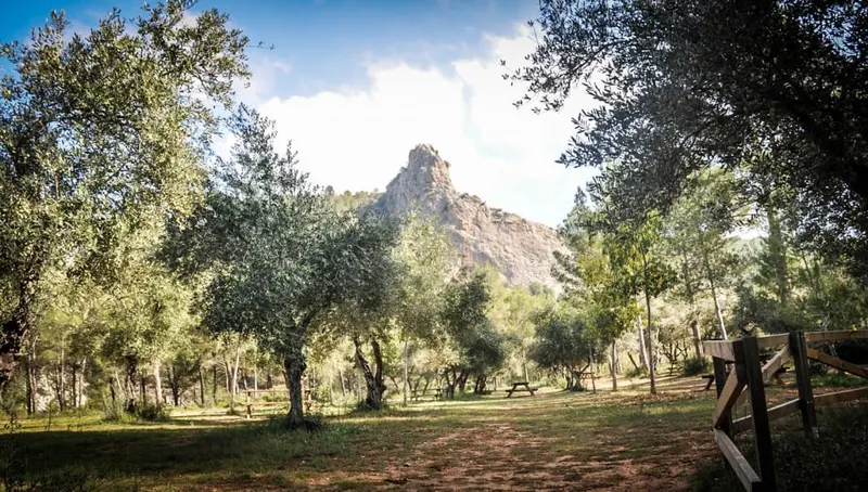 Imagen cedida por Xativa Turismo, La Cova Negra