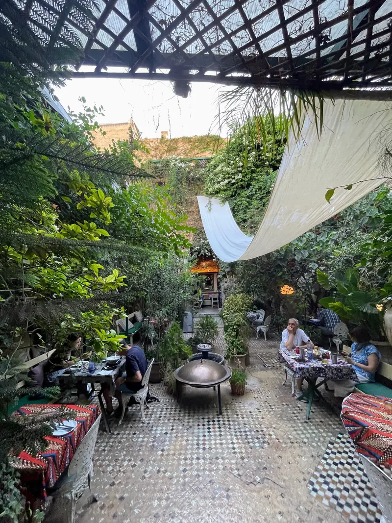 Precioso jardín con vegetación, lunes y romanticismo en Fez