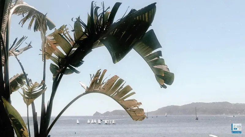 detalle de la bahia de Jávea desde su puerto Nautico, Alicante