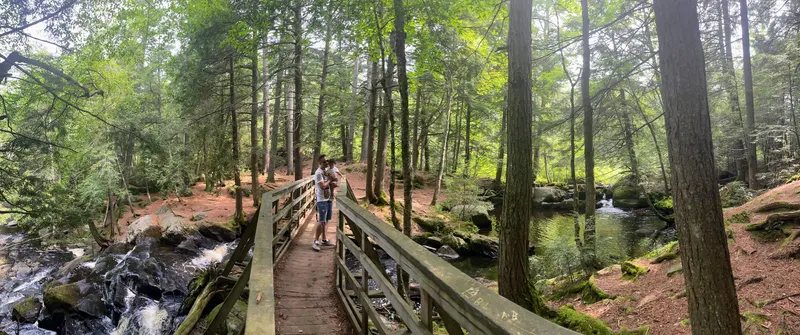 zona verde de Bracebridge perfecta para las familias y planes de naturaleza