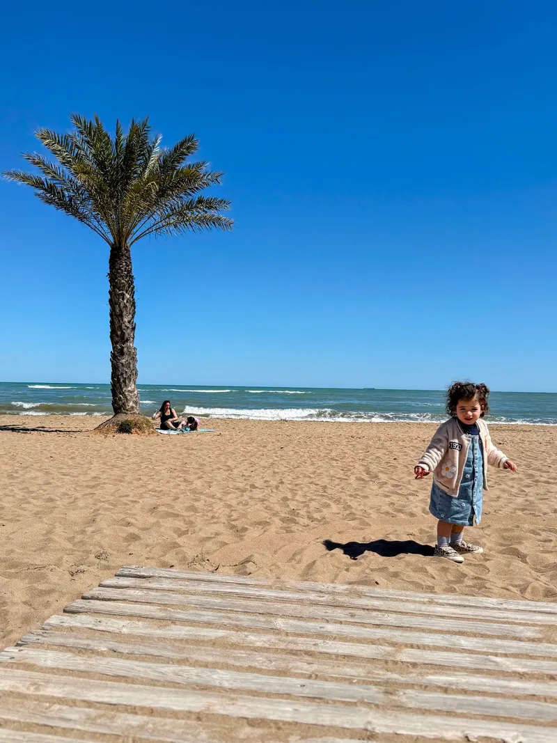 detalle de playa Albaranes, Denia con sus palmeras, dunas y arena fina