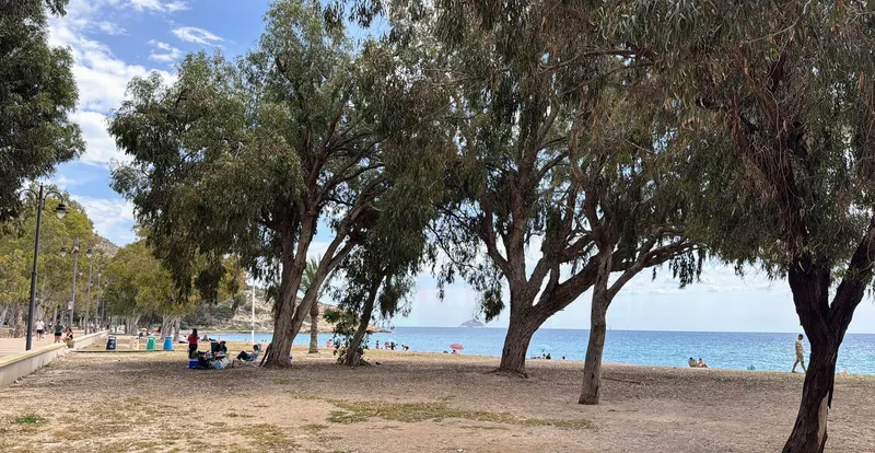 Detalle de la playa de Torres, en la Vilajoyosa