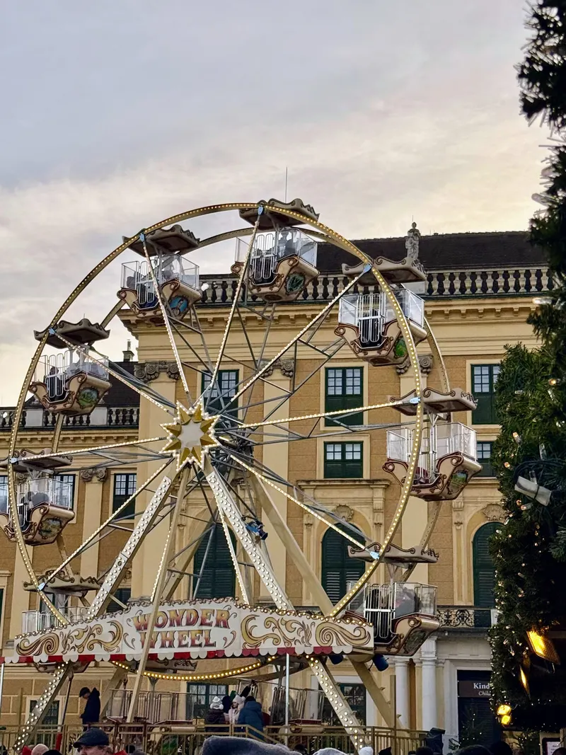 Noria del mercado de Schönbrunn frente al palacio