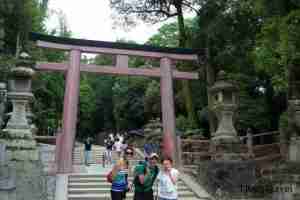 subiendo al templo Kasuga-taisha