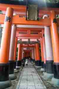 enormes toris de Fushimi Inari
