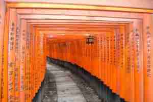 hermosos tuneles de toriis en Fushimi Inari