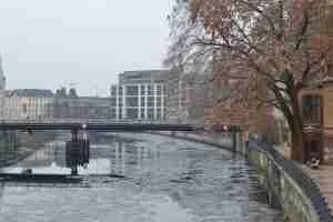 rio Spree Berlin