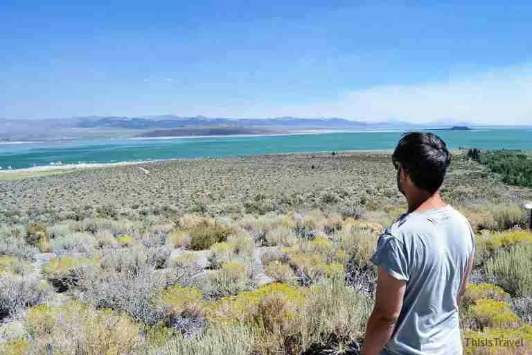 Vistas del Mono Lake