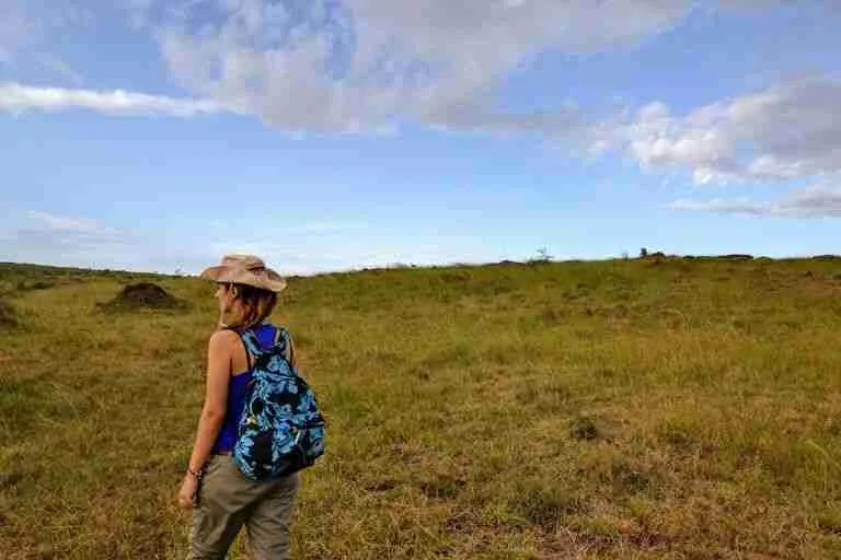 caminando por la sabana