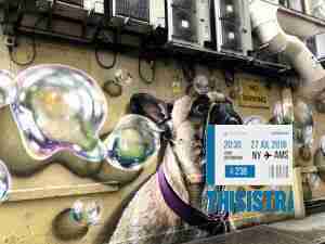 divertido graffiti Glasgow de un pug con bombas de jabon