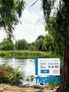 naturaleza en los manantiales de la Marjal de Gandia perfecto para desconectar