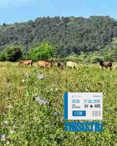 cuadra de caballos de camino al castillo de Bairen, Gandia