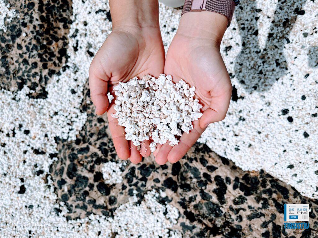 detalle de los fosiles marinos que parecen palomitas de maiz en Fuerteventura