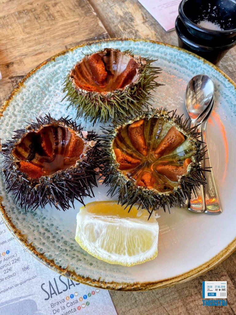 deliciosos erizos de mar, frescos en Denia
