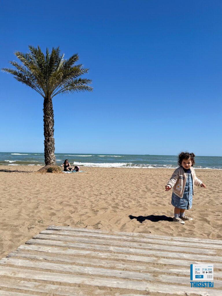 detalle de playa Albaranes, Denia con sus palmeras, dunas y arena fina